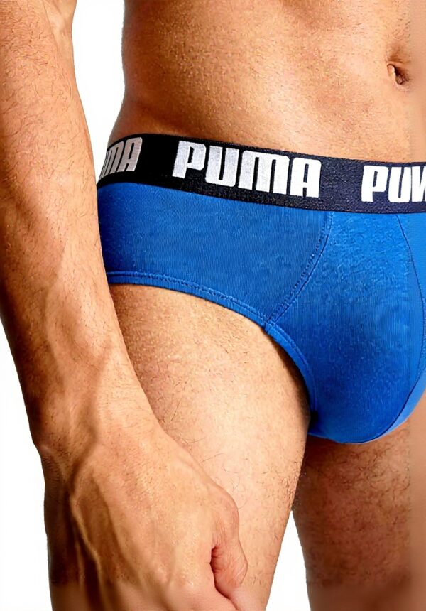 Slip Uomo Puma Briefs 2p Cotone Morbido Comodo